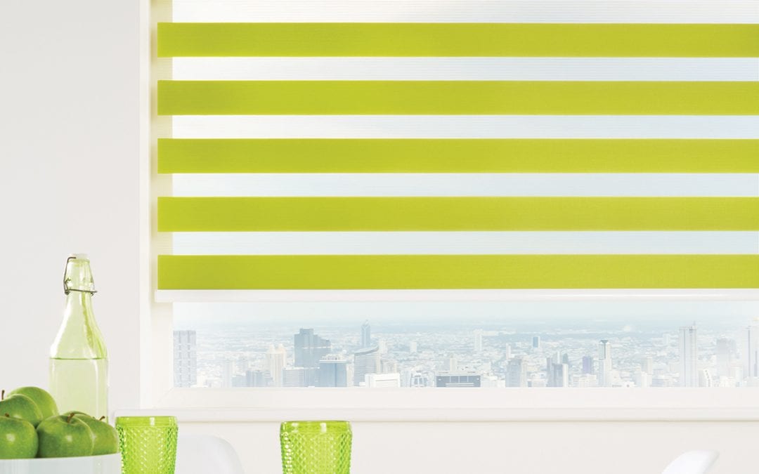 Vision Blinds